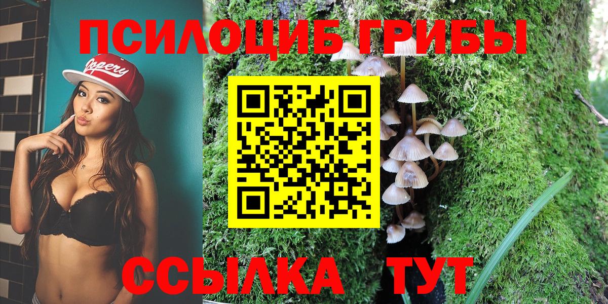 Куйбышев  Галлюциногенные грибы Cubensis  Вход с VPN 